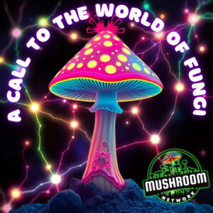 A Call To The World Of Fungi – The Mushroom Network