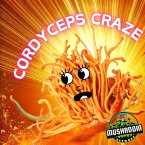 Cordyceps Craze – The Mushroom Network