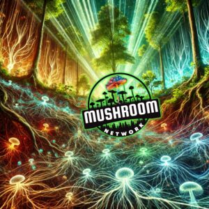Dance of the Mycelium Fungi Connection – The Mushroom Network