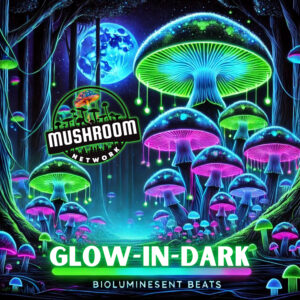 Glow in the Dark (Bioluminescent Beats) – The Mushroom Network