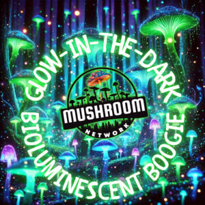 Glow in the Dark a Bioluminescent Boogie – The Mushroom Network
