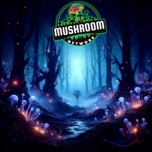 Got 'Em Spores – The Mushroom Network