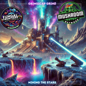 Grimsicap Grind (Mining the Stars) (Myco-Encore Remix) – The Mushroom Network