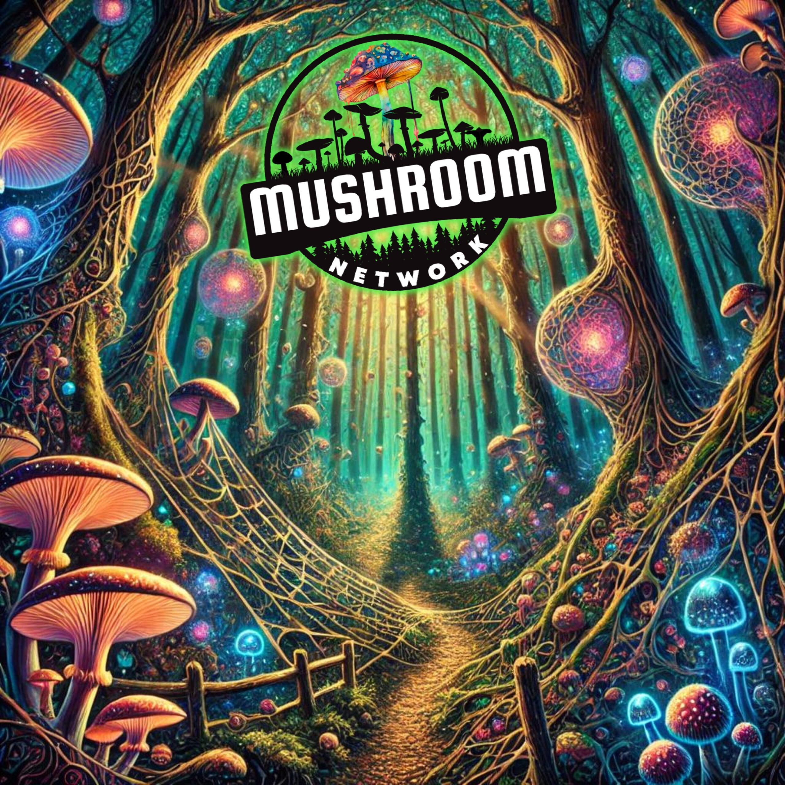 In the Forest of Fungi Cover Art