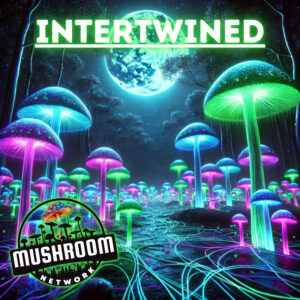 Intertwined – The Mushroom Network