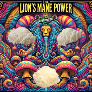 Lion's Mane Power (Another Myco-Verse Remix) – The Mushroom Network
