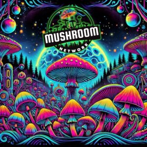 Moonlit Forager's Quest – The Mushroom Network