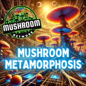 Mushroom Metamorphosis – The Mushroom Network