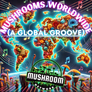 Mushrooms Worldwide (A Global Groove) – The Mushroom Network