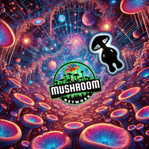 My Cosmic MycoSpirit (Another Myco-Verse Remix) – The Mushroom Network
