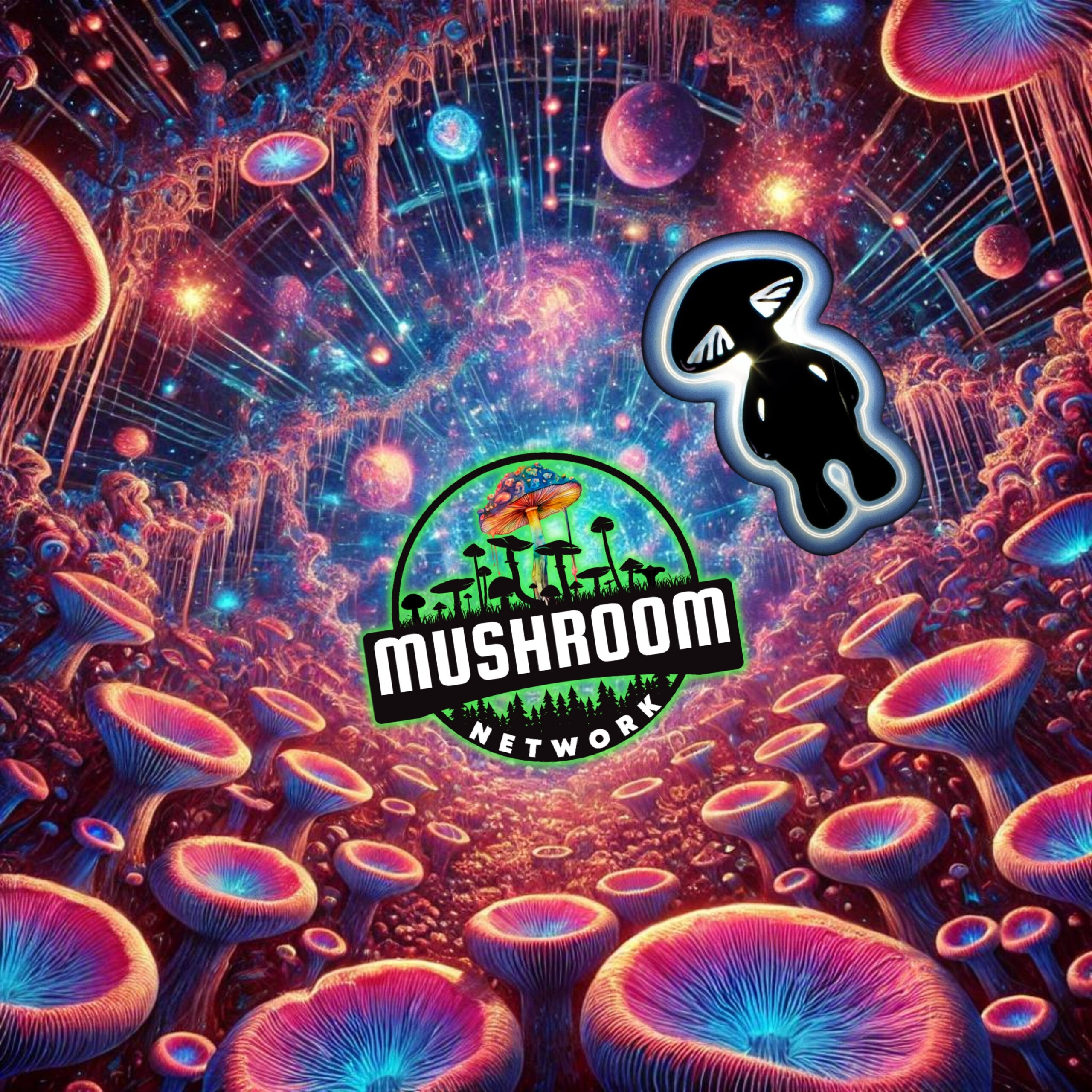 My Cosmic MycoSpirit (Another Myco-Verse Remix) Cover Art