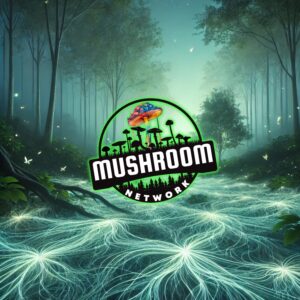 Mycelium Lullaby The Fungal Connection – The Mushroom Network