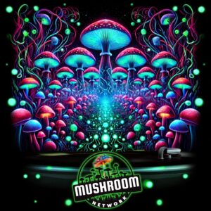 Myco-Dance Floor (The Forest Funk) – The Mushroom Network