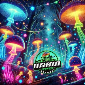 Myco Myco My Magic Ride – The Mushroom Network