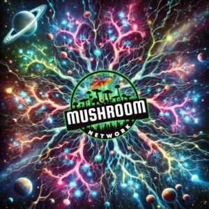 Mycological Interconnectedness – The Mushroom Network