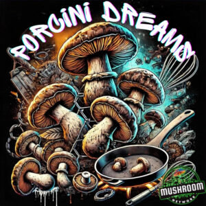 Porcini Dreams (Another Myco-Verse Remix) – The Mushroom Network