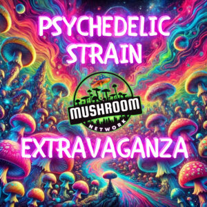 Psychedelic Strain Extravaganza – The Mushroom Network