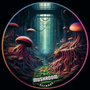 Rhythms of the Rhizome – The Mushroom Network
