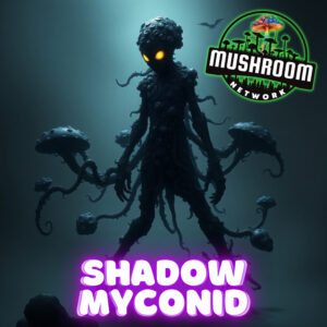 Shadow Myconid – The Mushroom Network