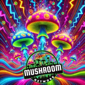 Sporechedelic Vibes – The Mushroom Network