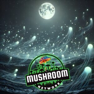 Spores in the Night Take Flight – The Mushroom Network