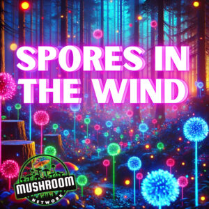 Spores in the Wind – The Mushroom Network