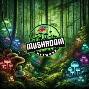 Under the Canopy (Secrets of the Forest) – The Mushroom Network