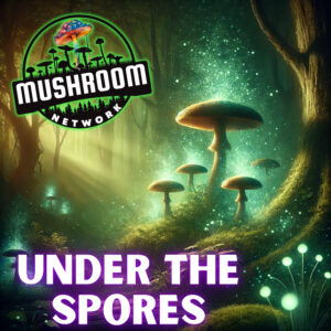 Under the Spores – The Mushroom Network
