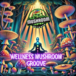 Wellness Mushroom Groove – The Mushroom Network