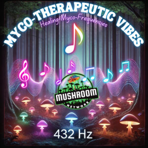 Celestial Healing Fungal Flow – The Mushroom Network