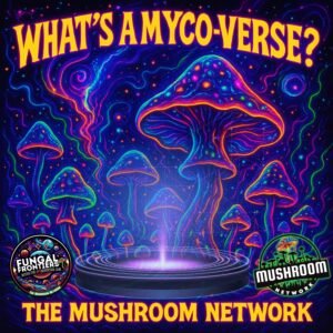 What’s a Myco-Verse – The Mushroom Network