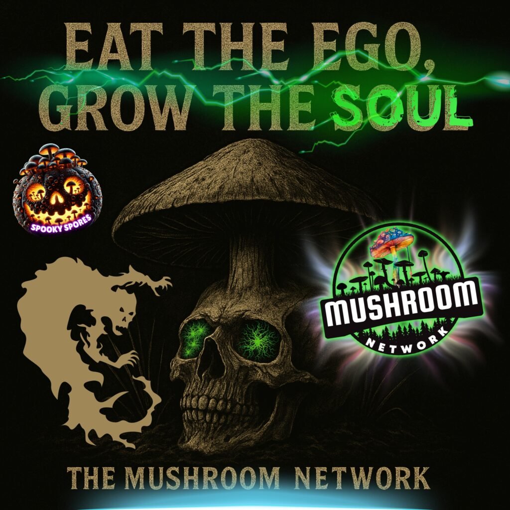 Graveyard of Forgotten Spores – The Mushroom Network
